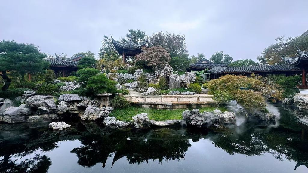 并登上了4800cm的上海市区新建景