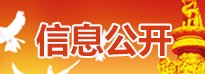 飞速体育官网