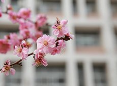 200232 上海市浦东新区学海路1